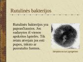 Bakterijų sandara ir dauginimasis 13 puslapis