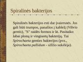 Bakterijų sandara ir dauginimasis 15 puslapis