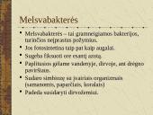 Bakterijų sandara ir dauginimasis 17 puslapis