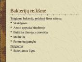 Bakterijų sandara ir dauginimasis 18 puslapis