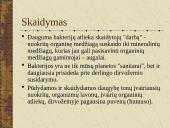 Bakterijų sandara ir dauginimasis 19 puslapis