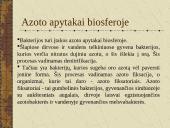 Bakterijų sandara ir dauginimasis 20 puslapis