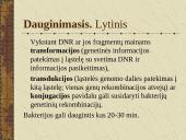 Bakterijų sandara ir dauginimasis 7 puslapis