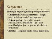 Bakterijų sandara ir dauginimasis 9 puslapis