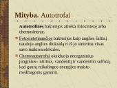 Bakterijų sandara ir dauginimasis 10 puslapis