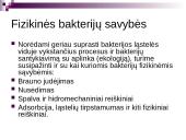 Bakterijų rūšys 11 puslapis
