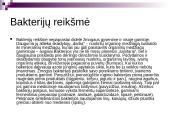 Bakterijų rūšys 12 puslapis
