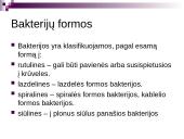 Bakterijų rūšys 3 puslapis