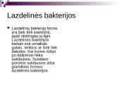 Bakterijų rūšys 5 puslapis