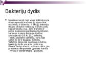 Bakterijų rūšys 10 puslapis