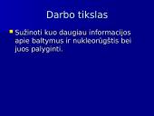 Baltymų ir nukleorūgščių palyginimas 2 puslapis
