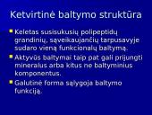 Baltymų ir nukleorūgščių palyginimas 12 puslapis