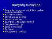 Baltymų ir nukleorūgščių palyginimas 16 puslapis