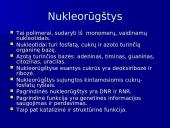 Baltymų ir nukleorūgščių palyginimas 18 puslapis