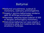Baltymų ir nukleorūgščių palyginimas 4 puslapis