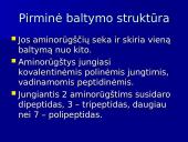 Baltymų ir nukleorūgščių palyginimas 6 puslapis