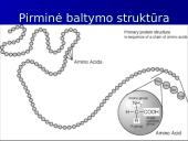 Baltymų ir nukleorūgščių palyginimas 7 puslapis