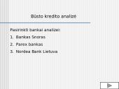 Banko kreditų gavimo sąlygos ir kaštai Lietuvoje 12 puslapis