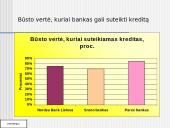 Banko kreditų gavimo sąlygos ir kaštai Lietuvoje 14 puslapis