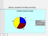 Banko kreditų gavimo sąlygos ir kaštai Lietuvoje 15 puslapis