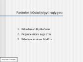 Banko kreditų gavimo sąlygos ir kaštai Lietuvoje 5 puslapis