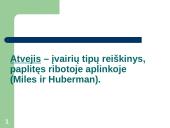 Beanketiniai duomenys: atvejo studija; etnometodologija 2 puslapis