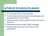 Beanketiniai duomenys: atvejo studija; etnometodologija 11 puslapis