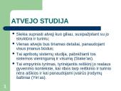 Beanketiniai duomenys: atvejo studija; etnometodologija 3 puslapis