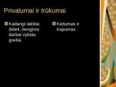 Bituminių medžiagų stogų dangos 13 puslapis