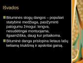 Bituminių medžiagų stogų dangos 16 puslapis