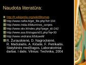 Bituminių medžiagų stogų dangos 17 puslapis