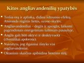 Chemija. Gamtiniai angliavandenilių šaltiniai 11 puslapis