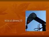 Chemija. Gamtiniai angliavandenilių šaltiniai 13 puslapis