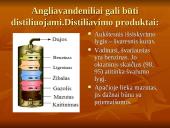 Chemija. Gamtiniai angliavandenilių šaltiniai 3 puslapis