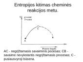 Cheminė termodinamika 19 puslapis