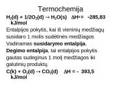 Cheminė termodinamika 10 puslapis