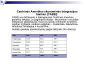 Centrinio banko istorija ir veikla 12 puslapis