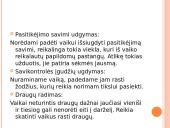 D.T. Dodge, J. Phinney "Ikimokyklinio amžiaus vaikų ugdymas: vadovas tėvams" 8 puslapis