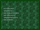 Darbas kompiuteriu 3 puslapis