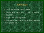 Darbas kompiuteriu 4 puslapis