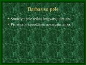 Darbas kompiuteriu 6 puslapis