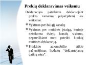 Deklaranto teisinis statusas 12 puslapis