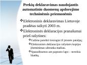 Deklaranto teisinis statusas 13 puslapis