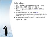 Deklaranto teisinis statusas 14 puslapis