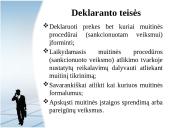 Deklaranto teisinis statusas 5 puslapis