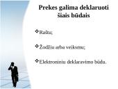 Deklaranto teisinis statusas 8 puslapis