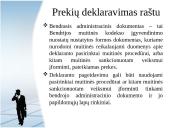 Deklaranto teisinis statusas 9 puslapis