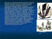 Devono  gyvi  organizmai 11 puslapis