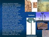 Devono  gyvi  organizmai 12 puslapis