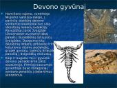 Devono  gyvi  organizmai 13 puslapis